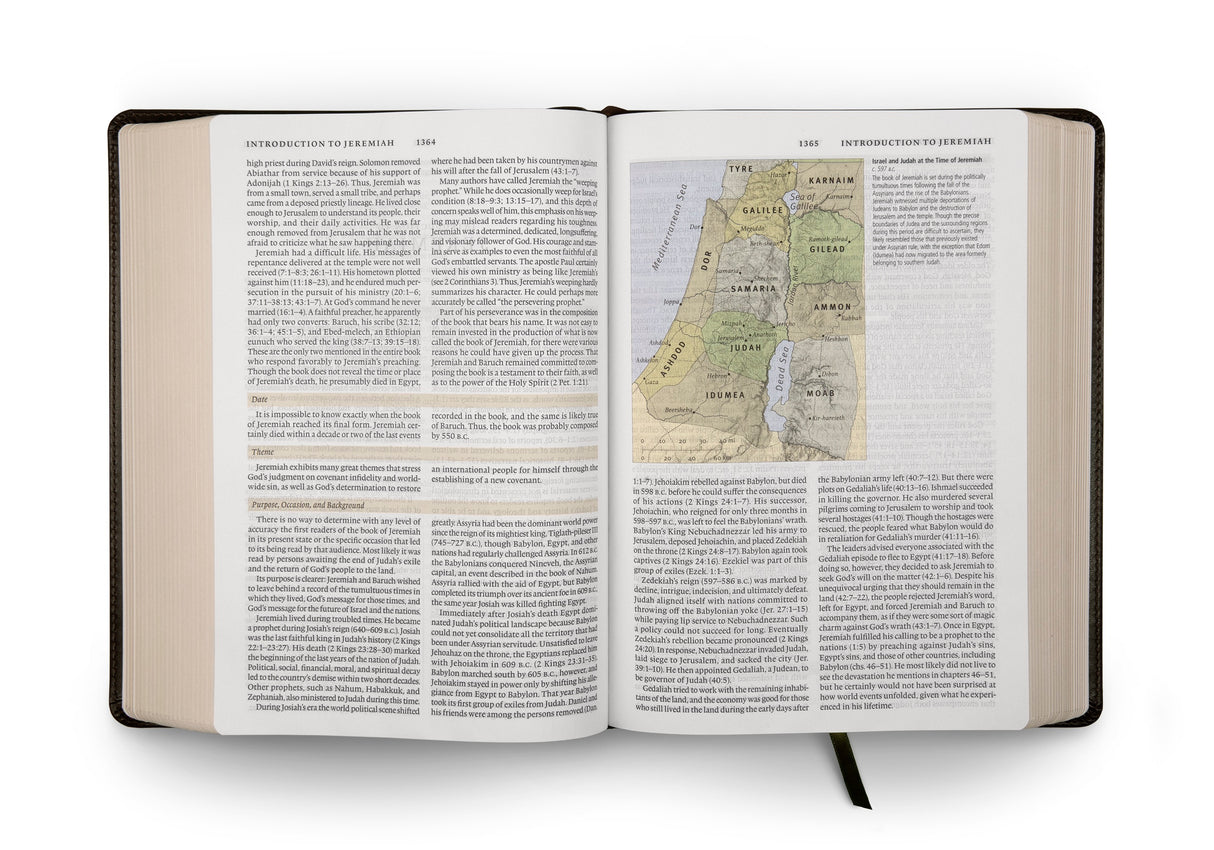 ESV Study Bible (TruTone, Olive, Celtic Cross Design)