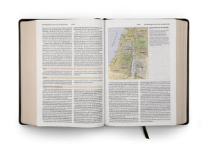 ESV Study Bible (TruTone, Olive, Celtic Cross Design)