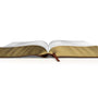 ESV Study Bible (TruTone, Walnut, Celtic Imprint Design) (1023775047727)