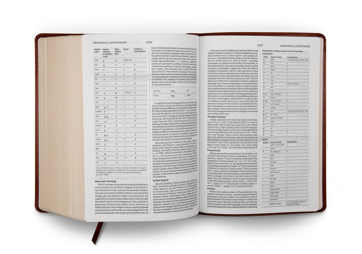 ESV Study Bible (TruTone, Walnut, Celtic Imprint Design) (1023775047727)