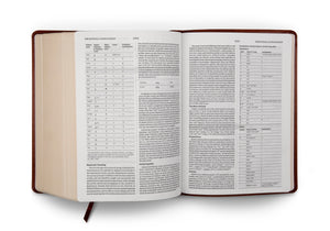 ESV Study Bible (TruTone, Walnut, Celtic Imprint Design) (1023775047727)