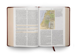 ESV Study Bible (TruTone, Walnut, Celtic Imprint Design) (1023775047727)
