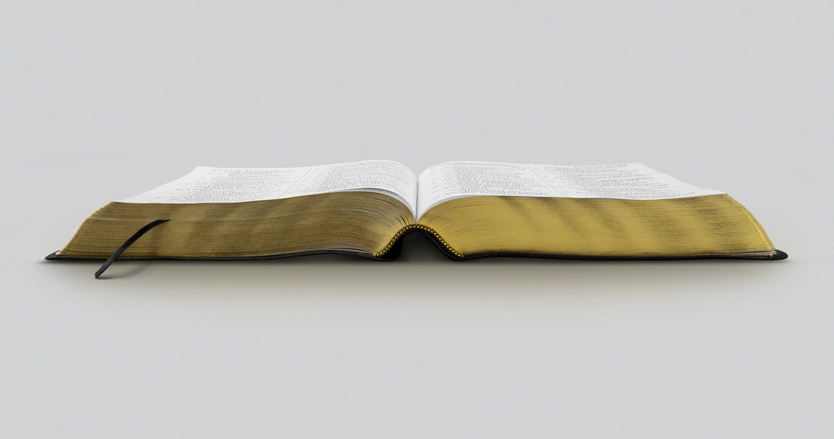 ESV Super Giant Print Bible (Genuine Leather, Black)
