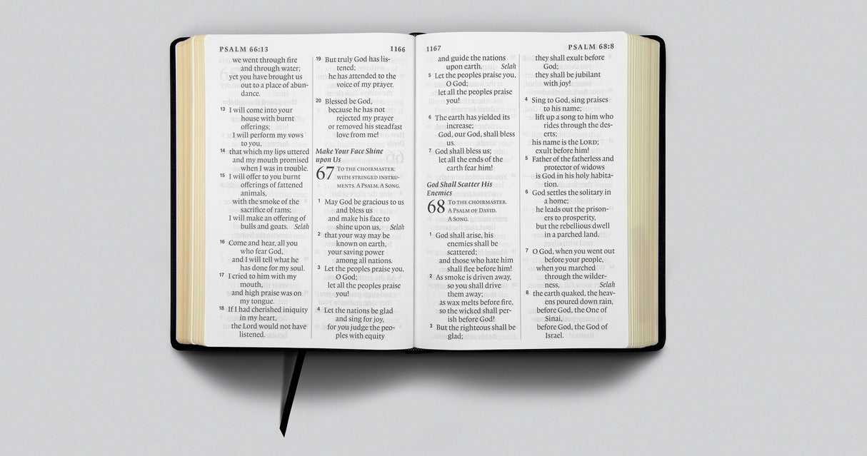 ESV Super Giant Print Bible (Genuine Leather, Black)
