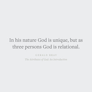 The Attributes of God: An Introduction (Short Studies in Systematic Theology)