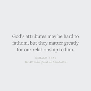 The Attributes of God: An Introduction (Short Studies in Systematic Theology)
