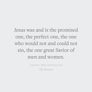 The Promise: The Amazing Story of Our Long-Awaited Savior