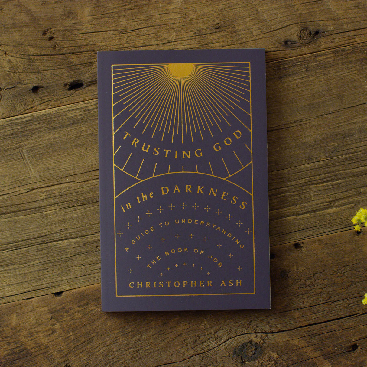 Trusting God in the Darkness: A Guide to Understanding the Book of Job