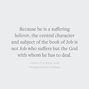 Trusting God in the Darkness: A Guide to Understanding the Book of Job