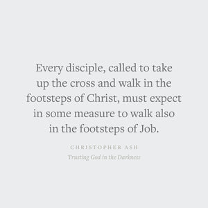 Trusting God in the Darkness: A Guide to Understanding the Book of Job