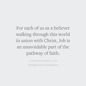 Trusting God in the Darkness: A Guide to Understanding the Book of Job