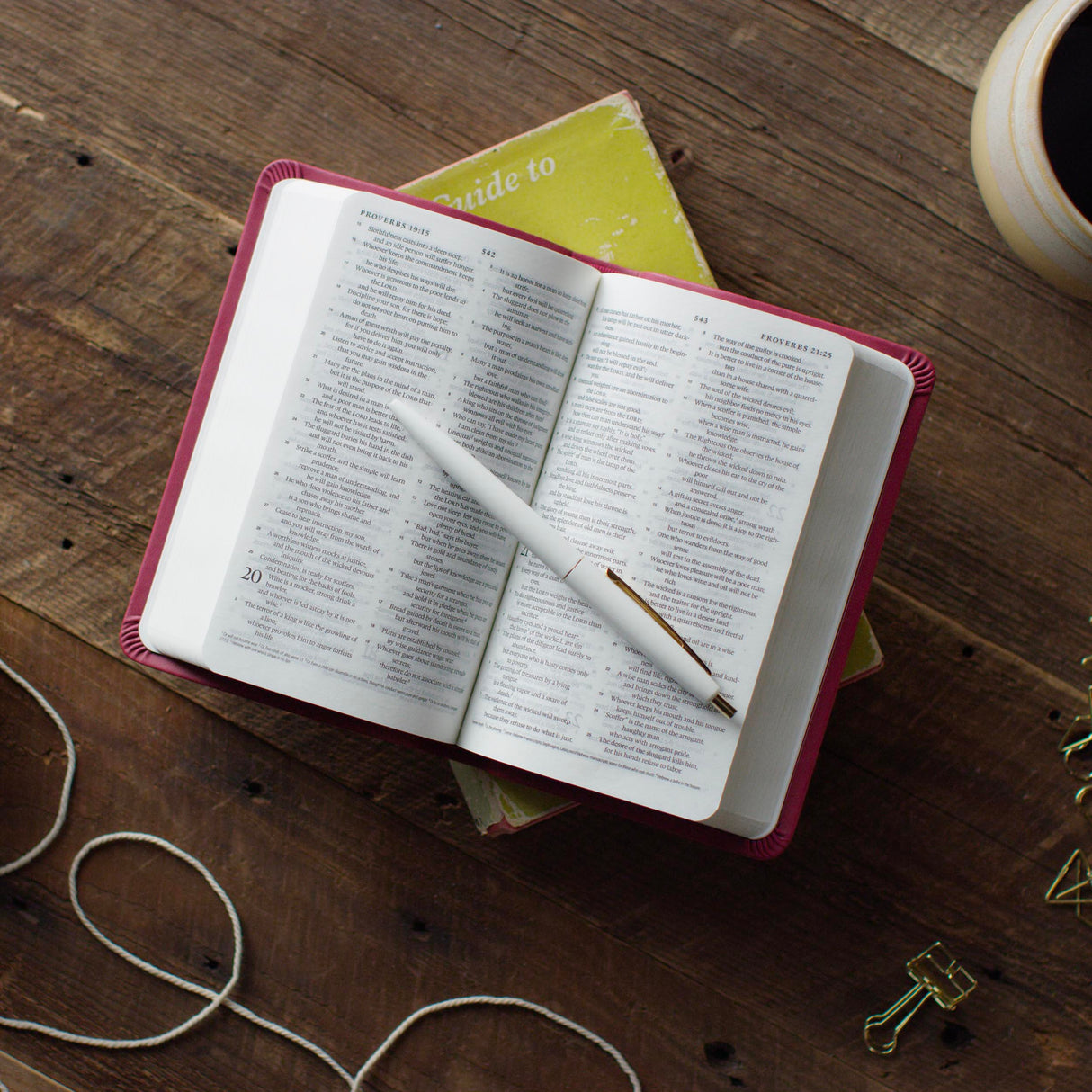 ESV Value Compact Bible (Trutone, Raspberry, Floral Design)