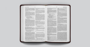 ESV Value Thinline Bible (TruTone, Chestnut, Filigree Design)