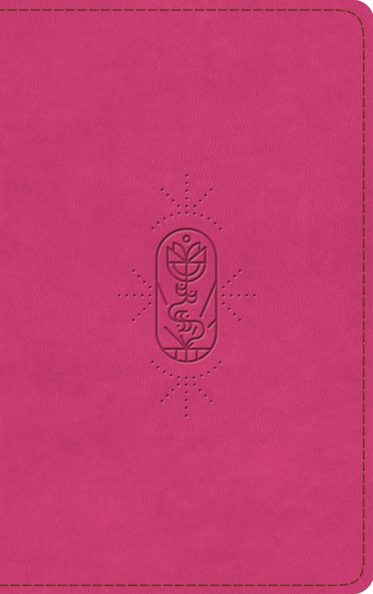 ESV Kid's Bible, Thinline (Trutone, Berry, the True Vine Design) - English Standard Version - 9781433579745