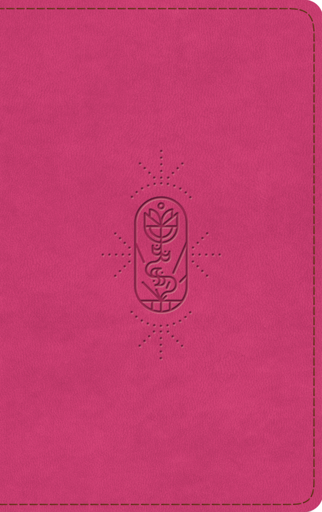 ESV Kid's Bible, Thinline (Trutone, Berry, the True Vine Design) - English Standard Version - 9781433579745