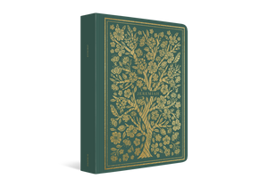ESV Illuminated Scripture Journal: Jeremiah (Paperback)