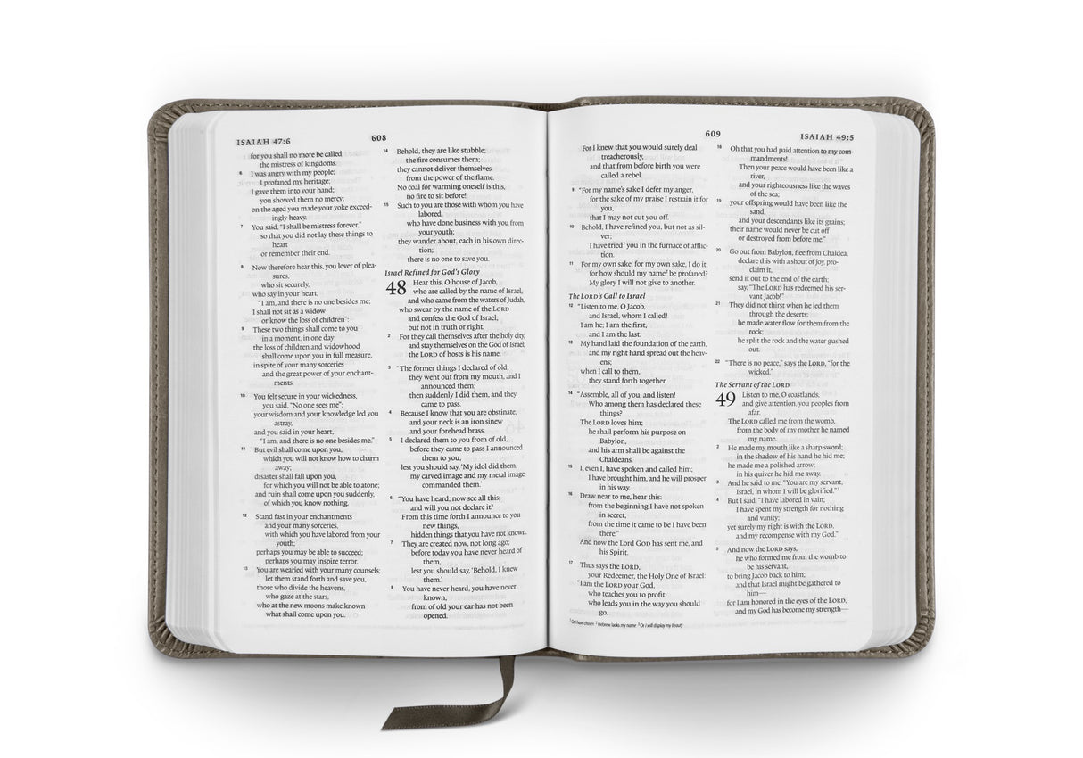 ESV Compact Bible (TruTone, Silver Sword)
