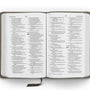 ESV Compact Bible (TruTone, Silver Sword)