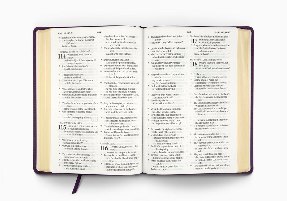 ESV Large Print Bible (Trutone, Lavender, Emblem Design)