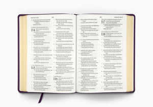 ESV Large Print Bible (Trutone, Lavender, Emblem Design)