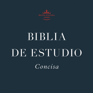 Spanish Study Bible
