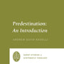 Predestination: An Introduction (Short Studies in Systematic Theology) - Naselli, Andrew David; Cole, Graham A (editor); Martin, Oren R (editor) - 9781433573149