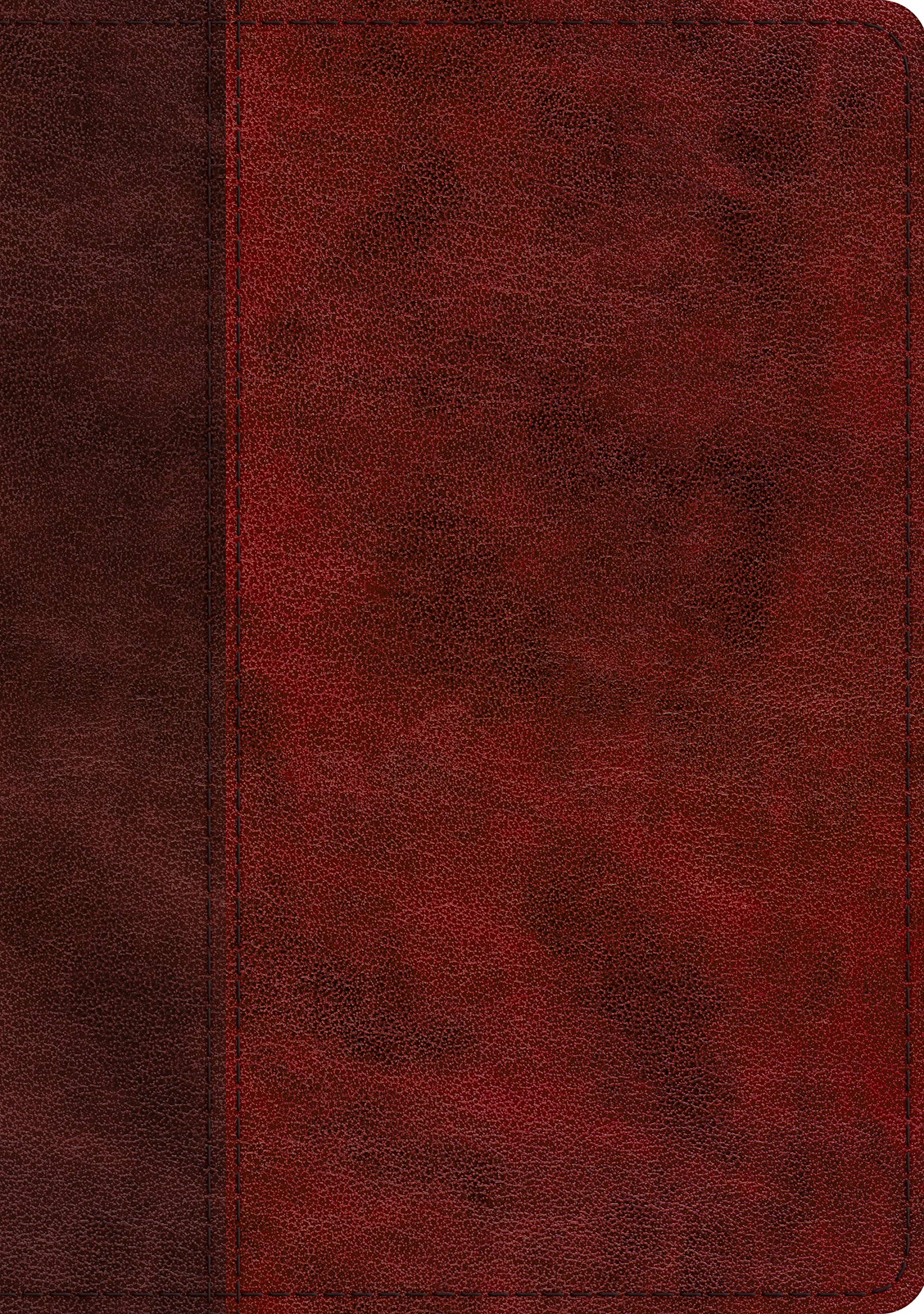 ESV Single Column Journaling Bible, Large Print (Trutone, Burgundy/Red, Timeless Design) [Book]