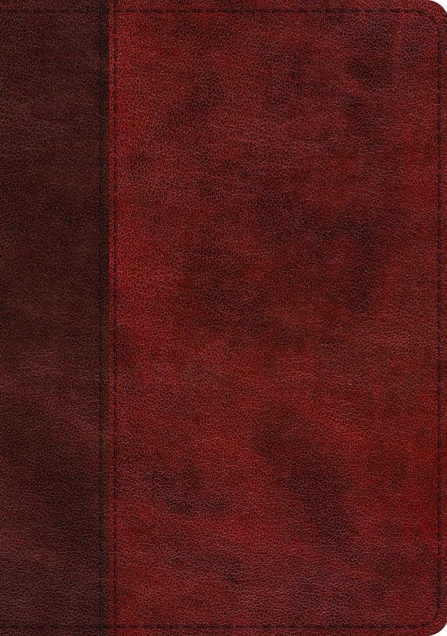 ESV Single Column Journaling Bible, Large Print (Trutone, Burgundy/Red, Timeless Design) - English Standard - 9781433568732