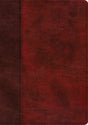 ESV Single Column Journaling Bible, Large Print (Trutone, Burgundy/Red, Timeless Design) - English Standard - 9781433568732
