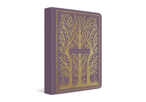 ESV Illuminated Scripture Journal: 1 – 2 Chronicles (Paperback)