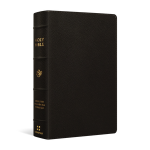 ESV Large Print Personal Size Bible (Buffalo Leather, Deep Brown) - English Standard Version - 9781433572029