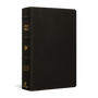 ESV Large Print Personal Size Bible (Buffalo Leather, Deep Brown) - English Standard Version - 9781433572029