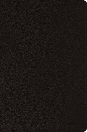 ESV Compact Bible (Buffalo Leather, Deep Brown) - ESV - 9781433585272