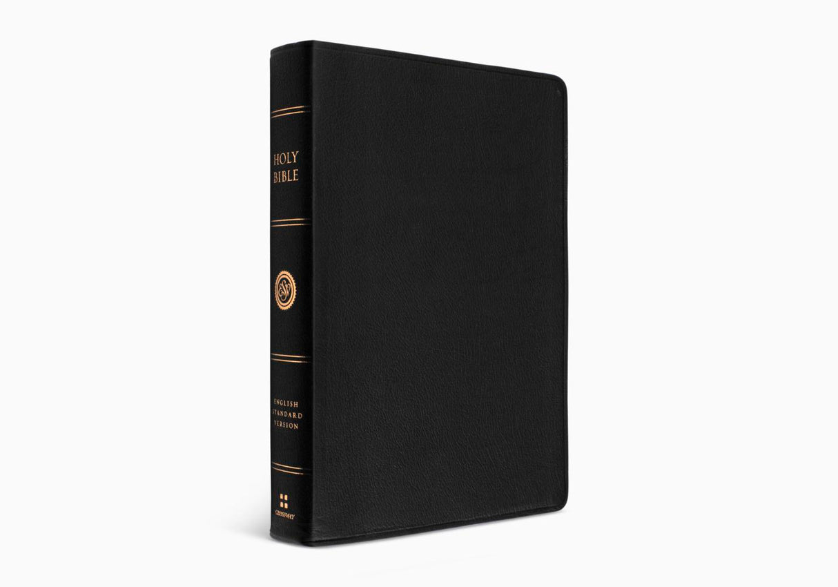 ESV Large Print Wide Margin Bible (Genuine Leather, Black)