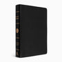 ESV Large Print Wide Margin Bible (Genuine Leather, Black)