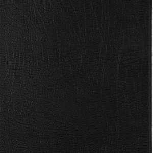 ESV New Testament with Psalms and Proverbs