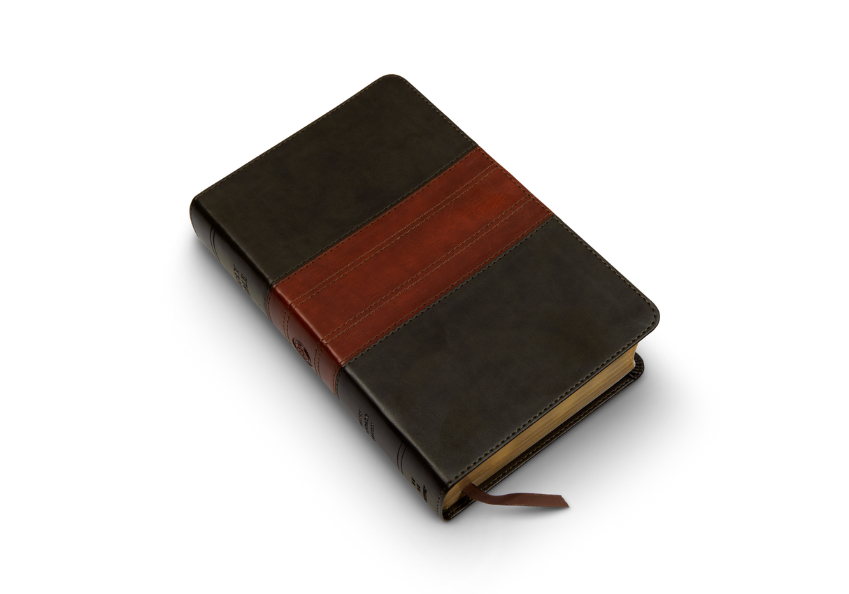 ESV Large Print Personal Size Bible (Trutone, Forest/Tan, Trail Design)