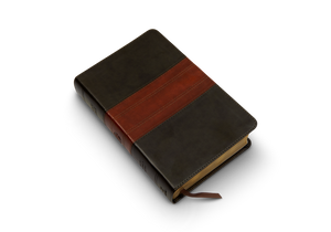 ESV Large Print Personal Size Bible (Trutone, Forest/Tan, Trail Design)