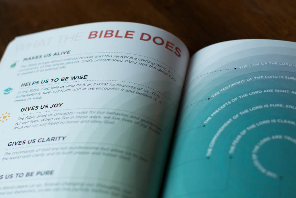 Visual Theology: Seeing and Understanding the Truth about God (w/Study Guide) (1016943706159)
