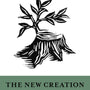 The New Creation and the Storyline of Scripture (Short Studies in Biblical Theology) - Thielman, Frank; Van Pelt, Miles V (editor); Ortlund, Dane C (editor) - 9781433559556
