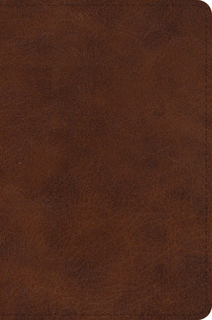 ESV Large Print Bible (Trutone, Deep Brown) - English Standard - 9781433566929
