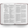 ESV Large Print Value Thinline Bible (TruTone, Mahogany, Border Design)