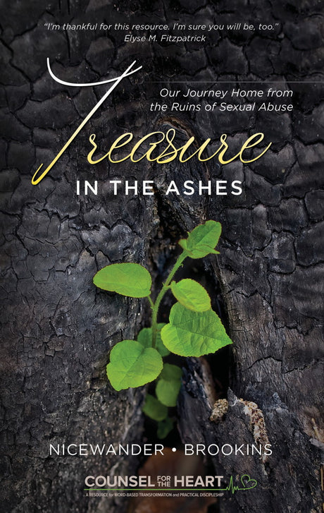Treasure in the Ashes: Our Journey Home from the Ruins of Sexual Abuse - Nicewander, Sue; Brookins, Maria - 9781633421394