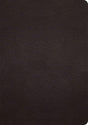 ESV Study Bible (Buffalo Leather, Deep Brown) - ESV - 9781433575921