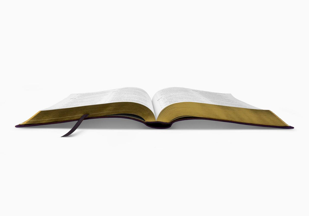 ESV Large Print Bible (Trutone, Lavender, Emblem Design)