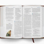 ESV Seek and Find Bible (Trutone, Brown)