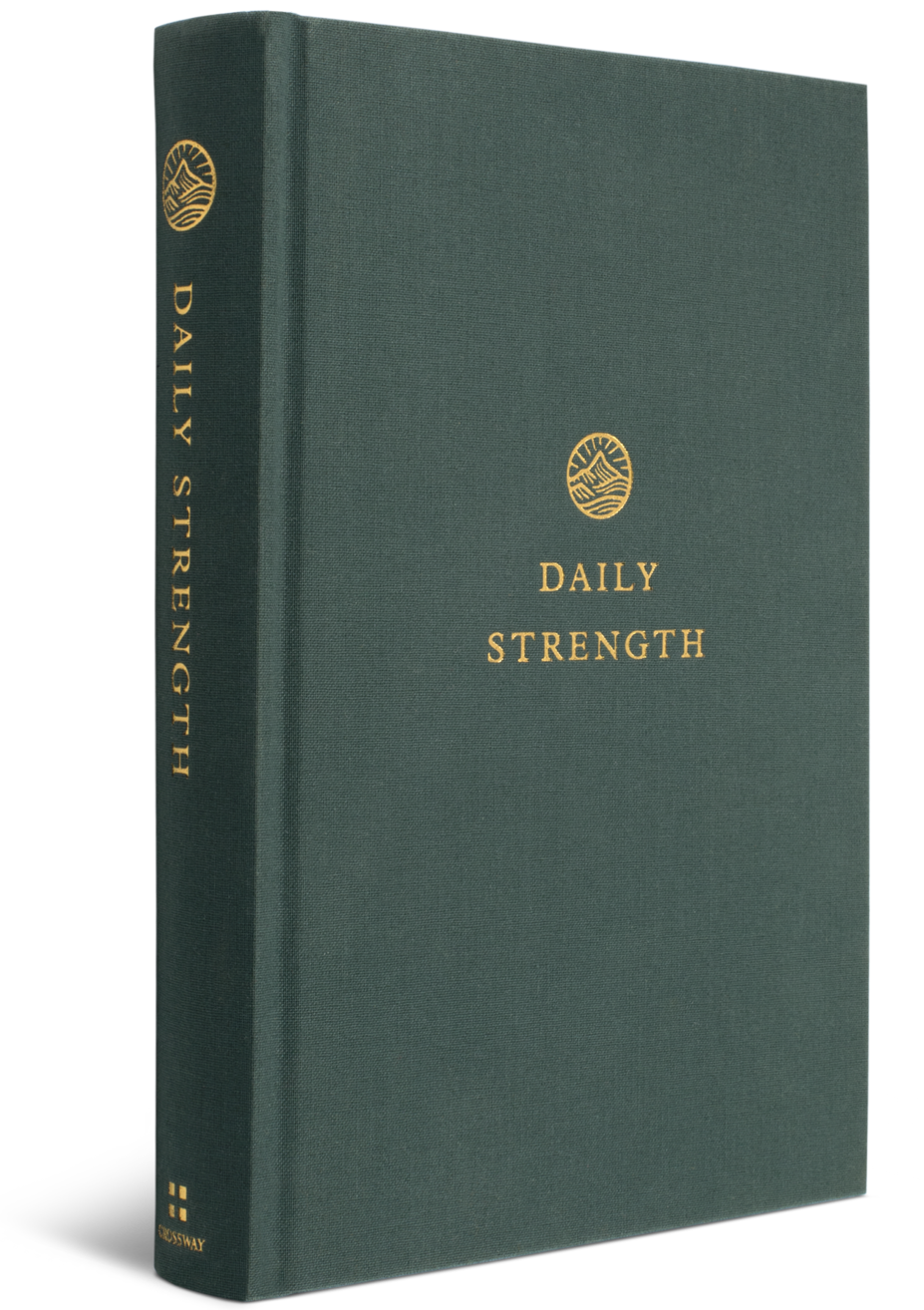 Daily Strength: A Devotional for Men