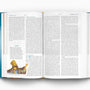 ESV Seek and Find Bible