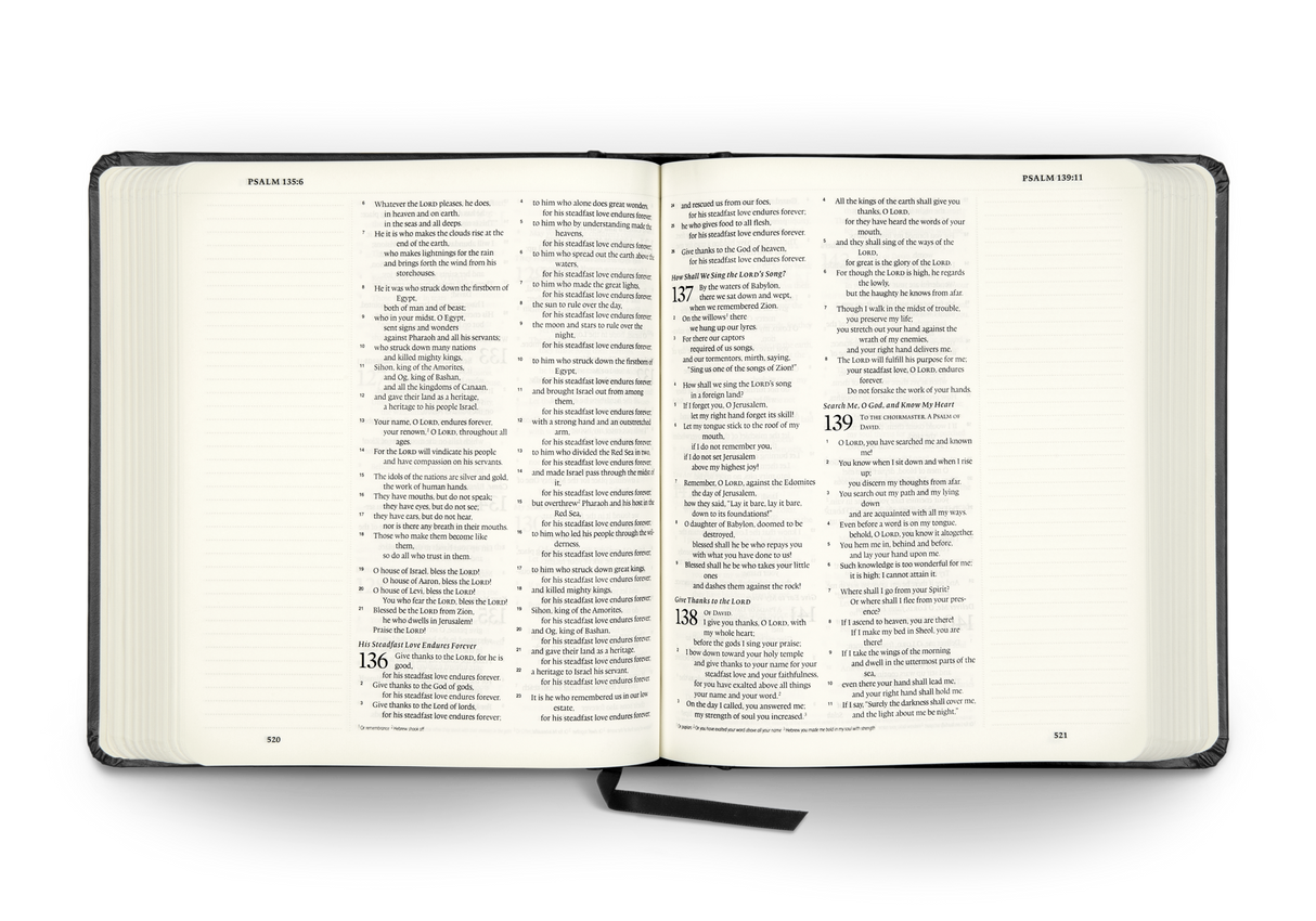 ESV Journaling Bible (Original, Hardcover Black) (1018418987055)