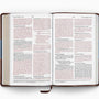 ESV Thinline Bible (TruTone, Chocolate/Blue, Paisley Band)
